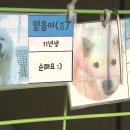 아지네농장 이미지