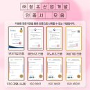부산개발 주식회사 - 서구 | 부산개발 주식회사