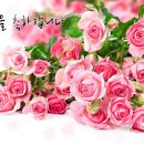 예비 58기 최종합격을 축하합니다 이미지