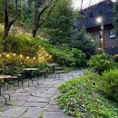 빈드럭스 이미지