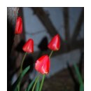 장미란체육관 이미지