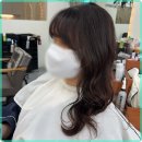 어반트렌드