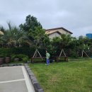 라비스테이 이미지