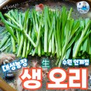 원기농장 | 연말모임 수원 인계동 대성농장 생오리 능이오리탕,생오리구이-수산물전문가 꼼꼼후기