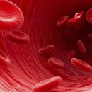 더블에이치짐 이미지