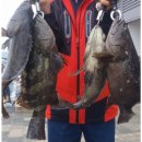 영흥바다낚시터 이미지