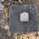 신당1리 이미지