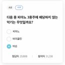 지오메이트