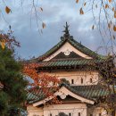 my drink museum 이미지