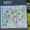 시민공원 남문 인근-3 | 부산시민공원물놀이터장 주차정보 준비할 것, 모래놀이, 물놀이터 방문 후기