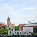 파인즈 - 천안시 동남구 대흥로 191-1 | 명동성당 남산타워뷰카페 - 명동카페 파인즈 내돈내산 솔직후기