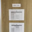 라온동물병원 | [울산 라온동물병원] 14살 노묘의 건강검진/이제 거의 10년차 단골병원이라닛..