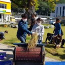 정선초등학교 이미지