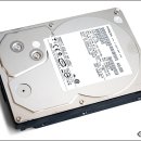 한 단계 업그레이드된 히타치 1TB HDD, Deskstar 7K1000.B 이미지