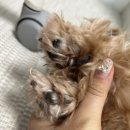 메이그루밍 이미지