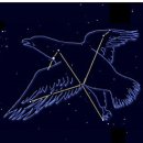 별자리 여행 - 독수리자리 알파별은 알타이르 이미지