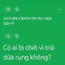 다낭 가족 여행 3일차(호이안 올드타운 퍼틴쌀국수 우베베빙수 버기카 니스파 톰도 하이랜드)
