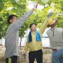 이병환농장 이미지