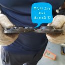 오토오아시스 경산 사동점 이미지