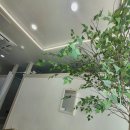 회복지압원 이미지