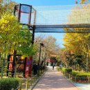 삼기삼거리 버스정류장 | 청양 칠갑산 천장호 출렁다리-장곡사 산행기록