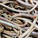 참샘산방 이미지