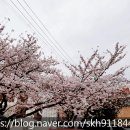 월명공인중개사사무소 이미지