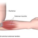 온세한의원 이미지