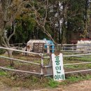 동건목장 이미지