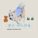 아이캔독 이미지