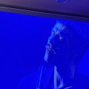 신당동 | &lt;신당동 딜런 위스키 하이볼 혼술 LP&gt; 데이트 장소로 좋은 신당동 술집 추천 솔직 후기