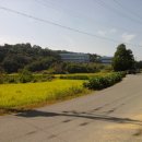 버스정류장 옆 이미지