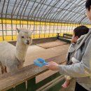 윤찬농장 이미지