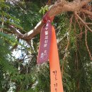 제주불교성지 순례길 절로 가는길 - 보시의 길 | [제주불교성지순례길-절로가는길] 보시의길, 제주 사찰 &#39;제주 불탑사&amp;원당사&#39;