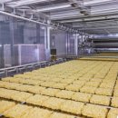 불티나불닭 이미지