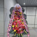라라통기타피아노아코디언 | 2026 10CM Asia Tour 〈To 10CM: Chapter 1〉 in Seoul 1주차 후기 (스포有)