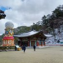 삼배목장 네이버블로그
