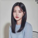 중앙 애견 미용실 이미지