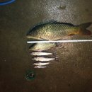 초록별민박 이미지