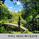 선흘그곶 | 제주도 서쪽 가볼만한곳 환상숲곶자왈 공원 숲해설 복장
