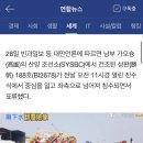 애버그린 이미지