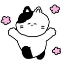 어화댕댕 이미지