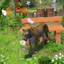 월남파병용사 만남의 장 이미지