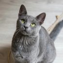 계양메디칼센터 이미지