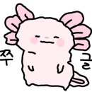 터치스토리 이미지