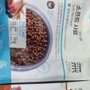 퍼스트독앤캣 이미지