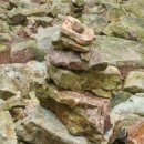 상관편백숲 쉼터 이미지