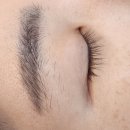 만년남로 | 대전속눈썹펌 &#34;예나르뷰티&#34; 솔직 후기
