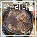 양촌리마을 | 제주도 흑미 삼계탕 맛집 양촌리 마을