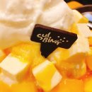 설빙토평점